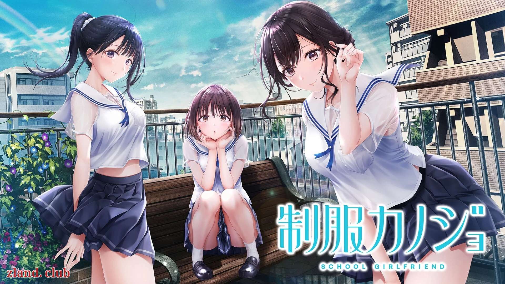[NS]制服女友|原汁日文|本体+1.0.2升补|NSZ|原版|