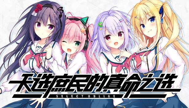 [NS]天选庶民的真命之选|官方中文|NSP|原版|-Zero