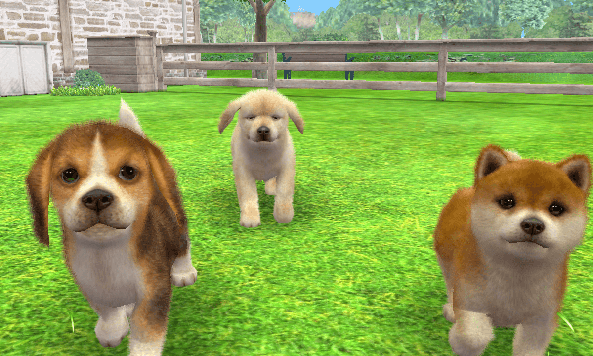 图片[1]-[3DS]任天猫狗 柴犬与新伙伴[港版][官方简中](无需跨区)-Zero