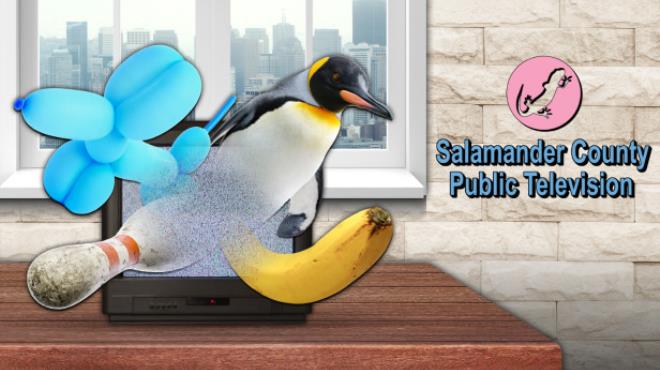 [PC]Salamander County Public Television -磁链下载-Zero-零之资源仓库