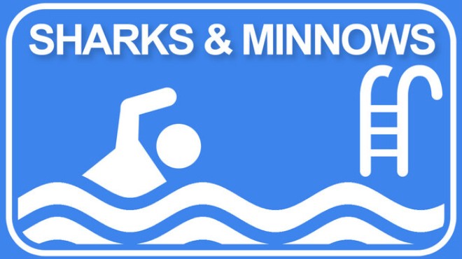 [PC]Sharks and Minnows -磁链下载-Zero-零之资源仓库