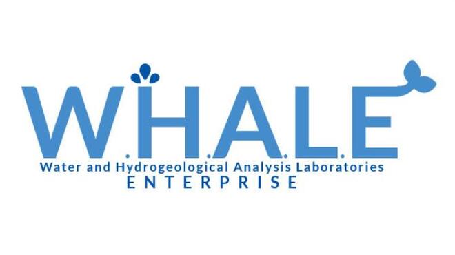 [PC]W H A L E -磁链下载-Zero-零之资源仓库